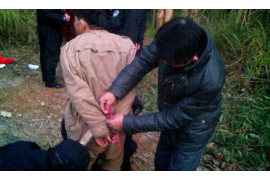 网贷讨债行动已开始：揭秘网络借贷催收现状与应对策略